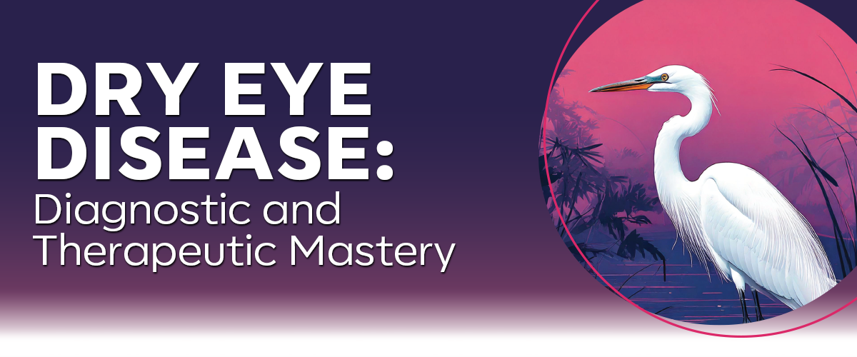 Dry Eye Disease: Diagnostic and Therapeutic Mastery