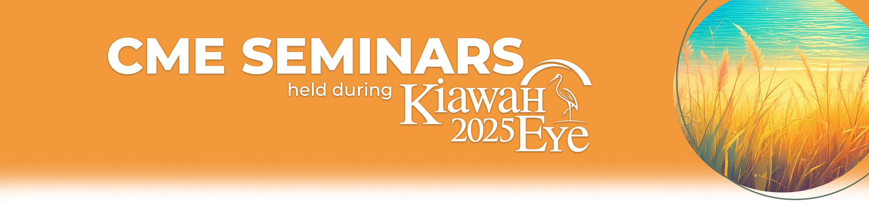 KiawahEye_WP_header4 CME Seminars held during Hawaiian Eye and Retina 2025