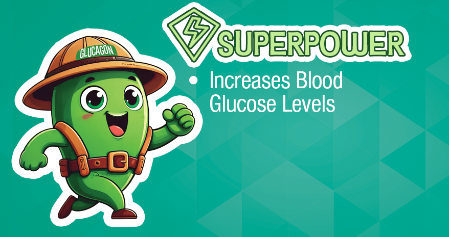 Glucagon_superpower