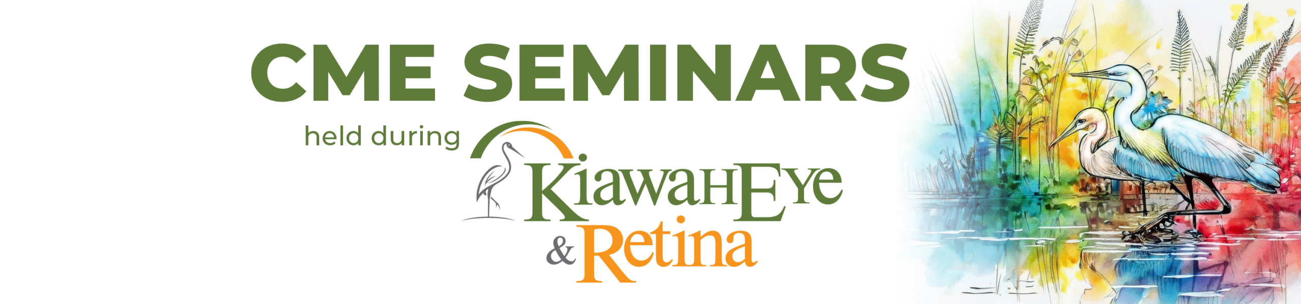 CME Seminars held during Hawaiian Eye and Retina 2026